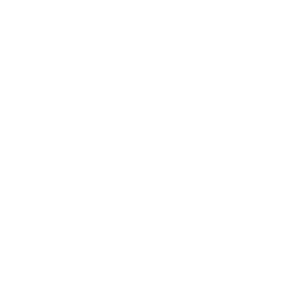 Logo IP